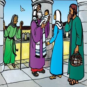 12 - Simeon Prophesies about Jesus